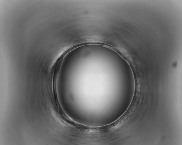 X0000089350060200706221147