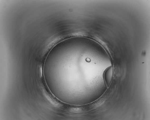X0000089350061200706221147