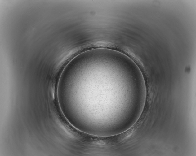 X0000089350062200706221147
