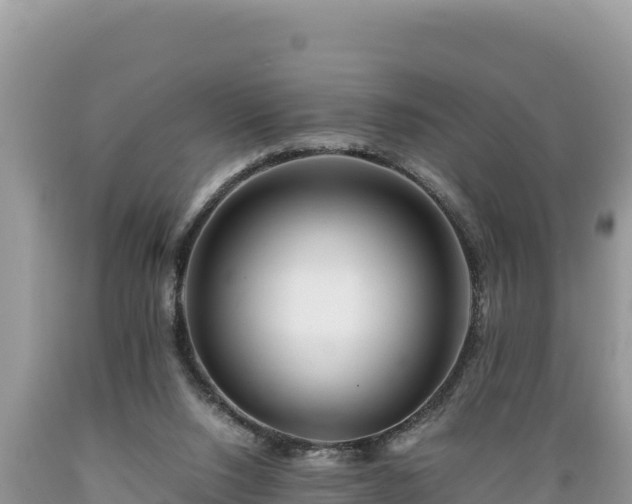 X0000089350064200706221147