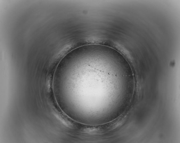 X0000089350065200706221147