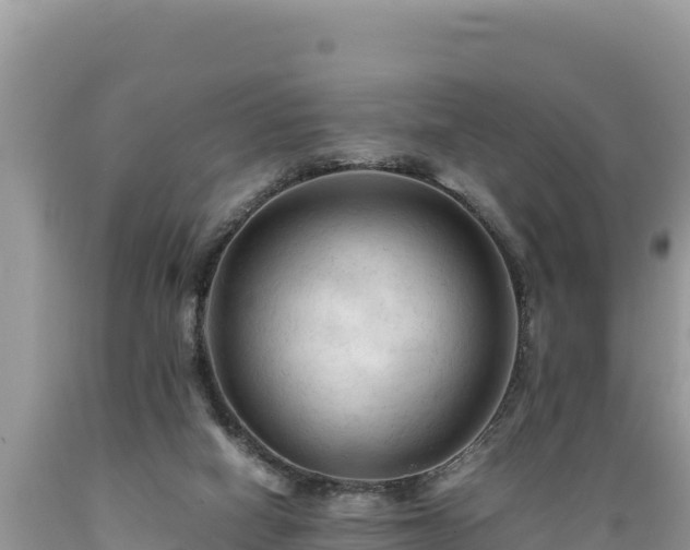 X0000089350066200706221147