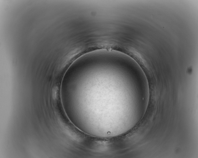 X0000089350071200706221147