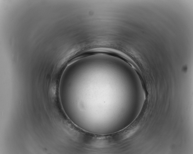 X0000089350072200706221147