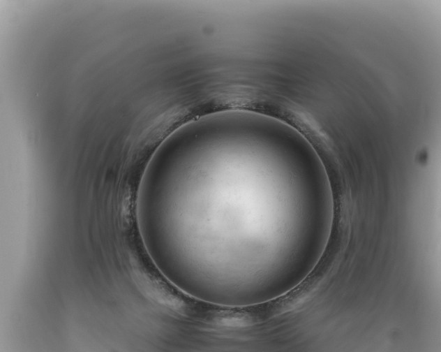 X0000089350073200706221147