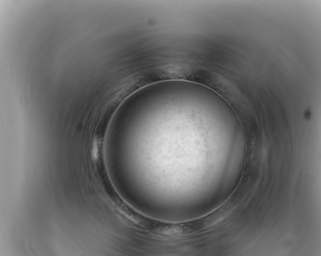 X0000089350075200706221147