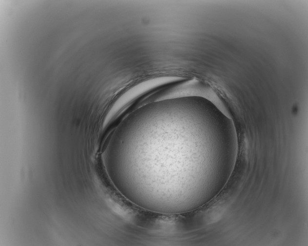 X0000089350076200706221147