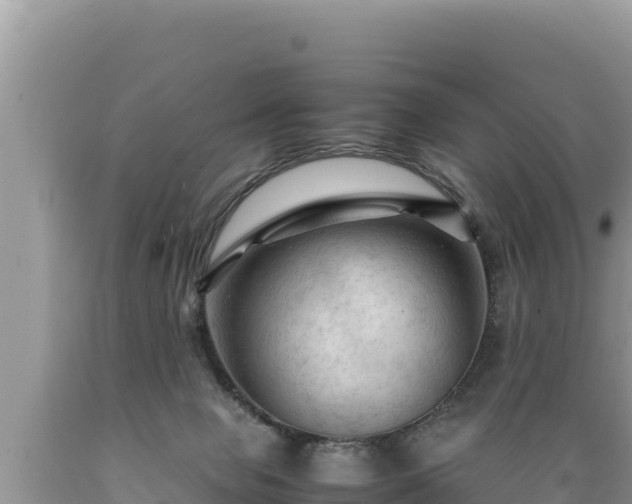 X0000089350077200706221147
