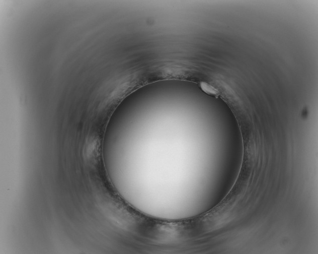 X0000089350079200706221147