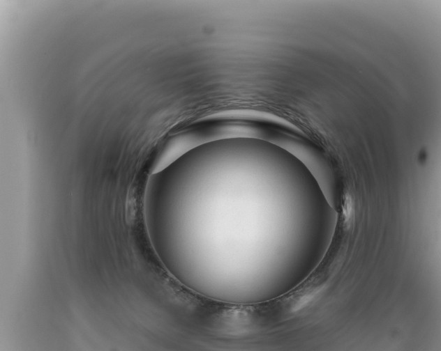 X0000089350080200706221147
