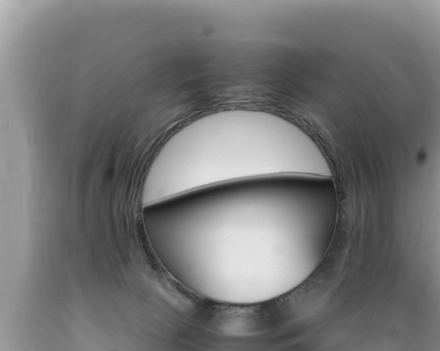 X0000089350081200706221147