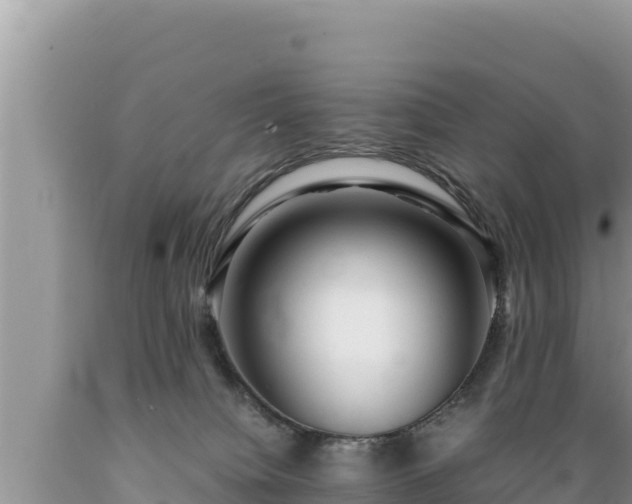X0000089350084200706221147