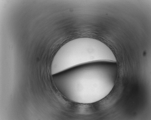 X0000089350085200706221147
