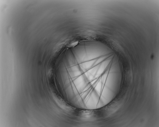 X0000089350088200706221147