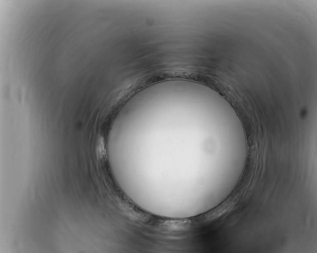 X0000089350089200706221147
