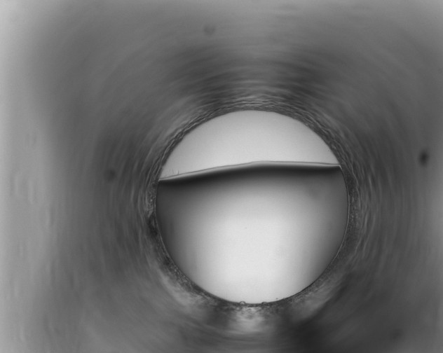 X0000089350091200706221148