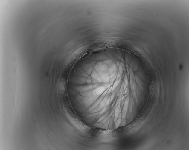 X0000089350092200706221148