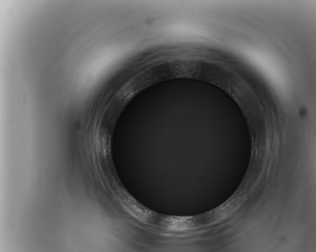 X0000089350093200706221148
