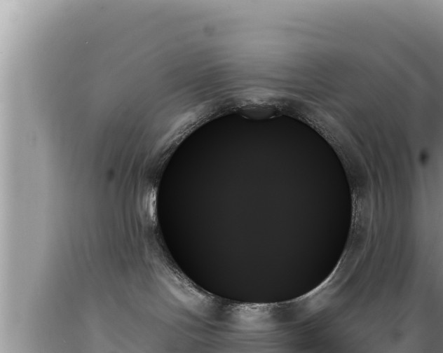 X0000089350094200706221148