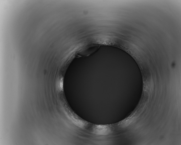 X0000089350095200706221148