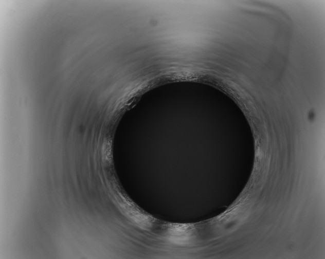 X0000089350096200706221148