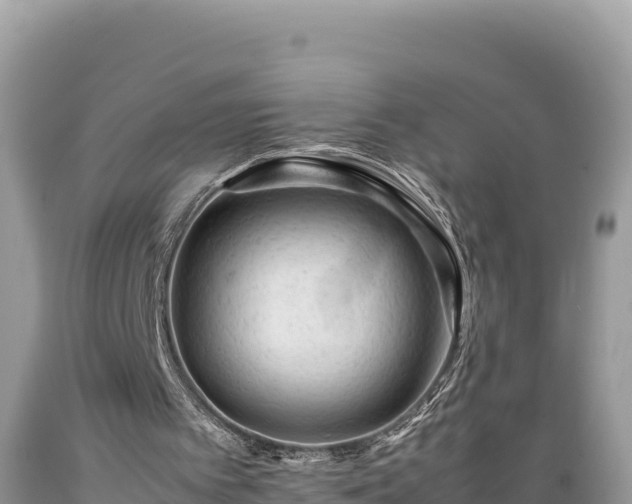 X0000089350097200706221147