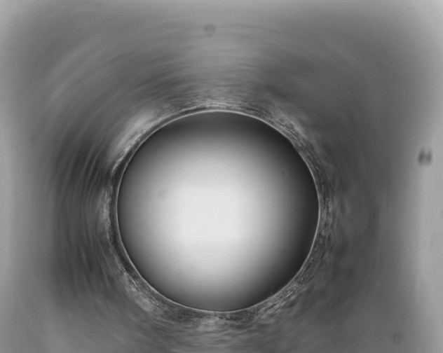 X0000089350098200706221147