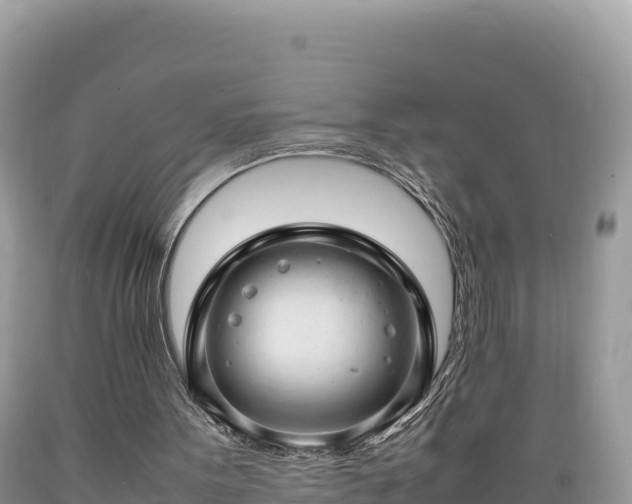 X0000089350099200706221147