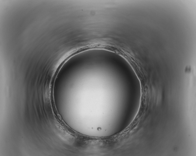 X0000089350100200706221147