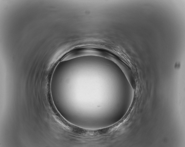 X0000089350101200706221147
