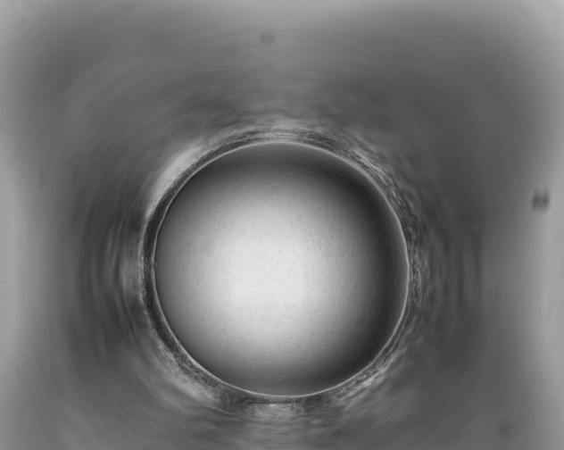 X0000089350102200706221147