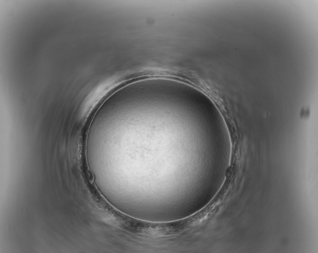 X0000089350103200706221147