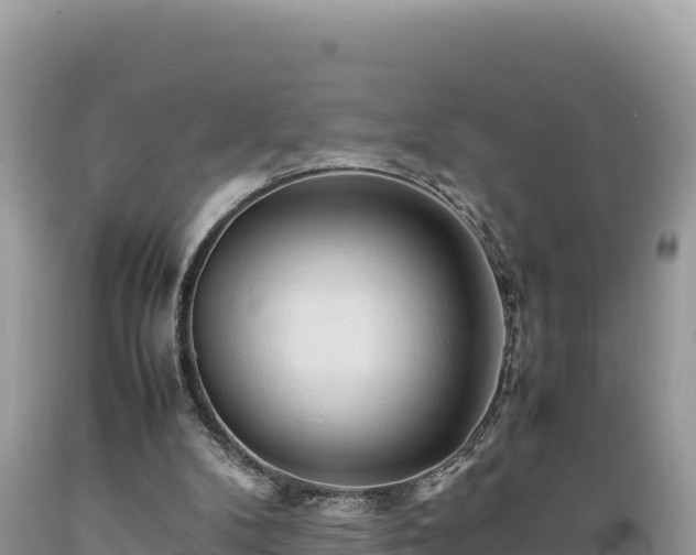 X0000089350104200706221147