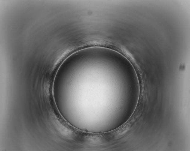 X0000089350106200706221147