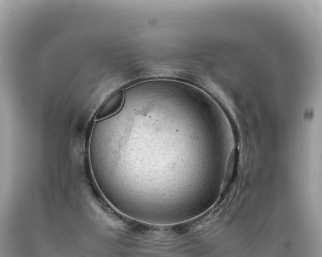 X0000089350107200706221147