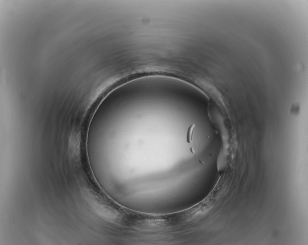 X0000089350108200706221146