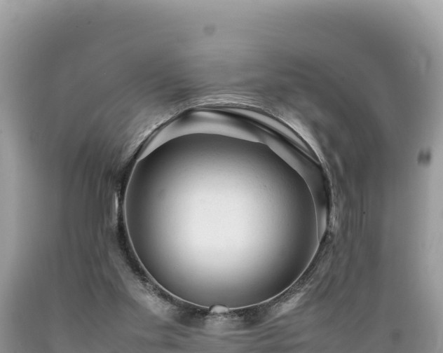 X0000089350109200706221146