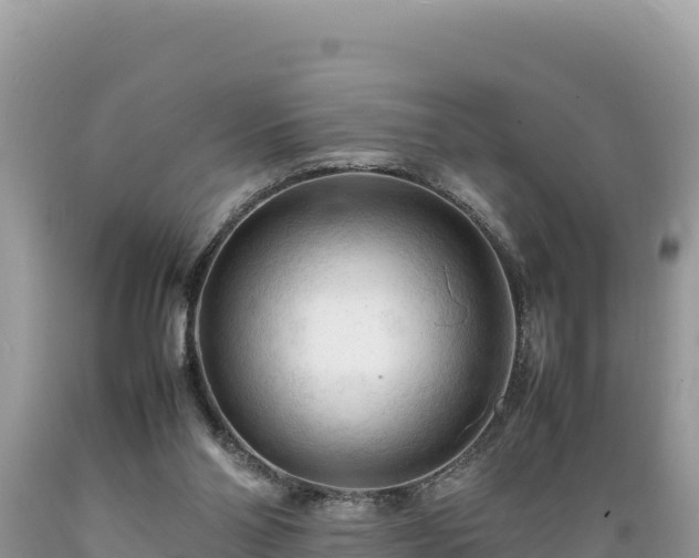 X0000089350110200706221146