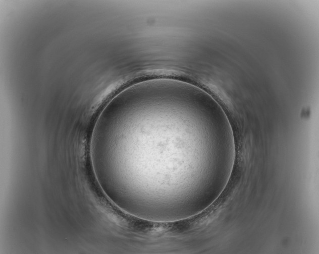 X0000089350111200706221146