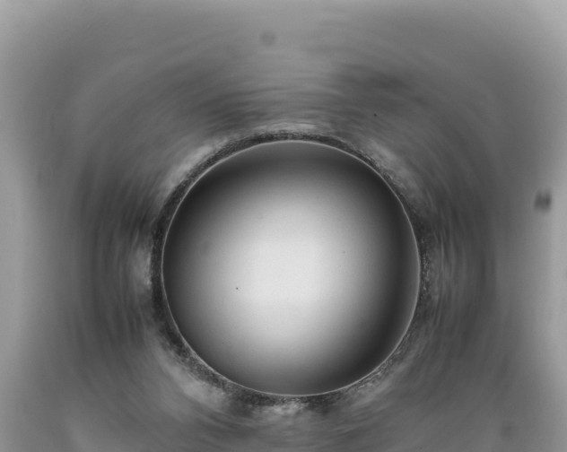 X0000089350112200706221146