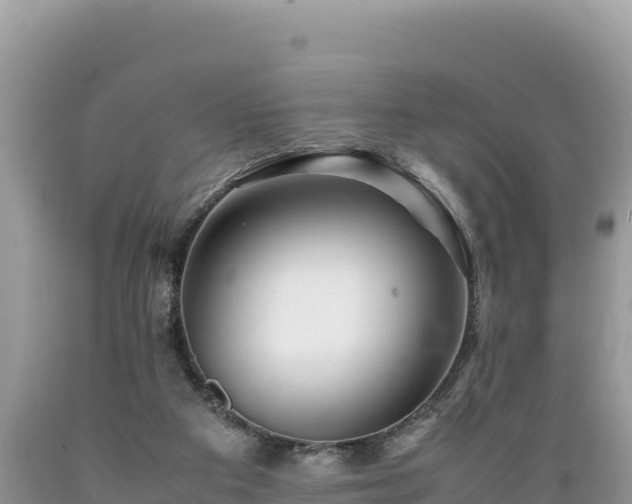 X0000089350113200706221146