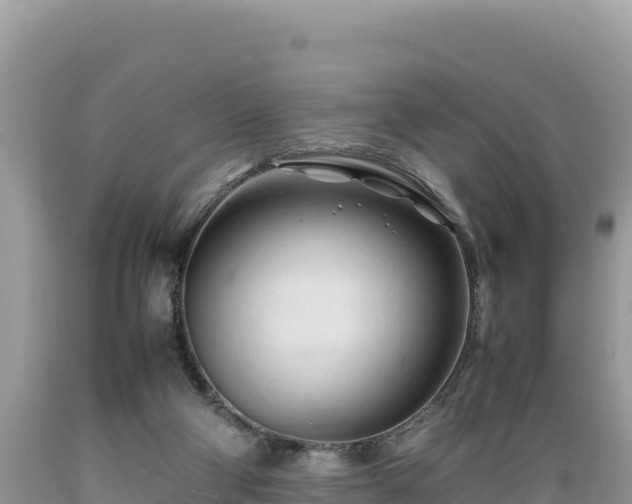 X0000089350114200706221146