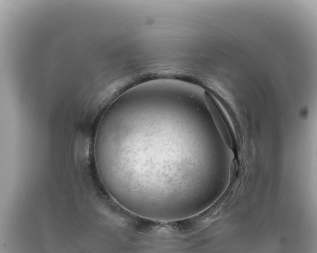 X0000089350115200706221146