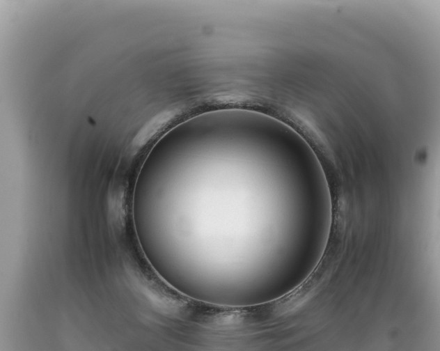 X0000089350116200706221146