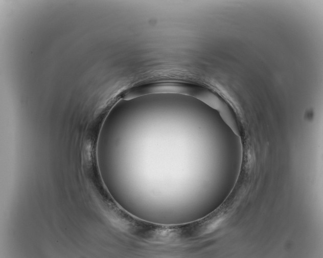 X0000089350117200706221146