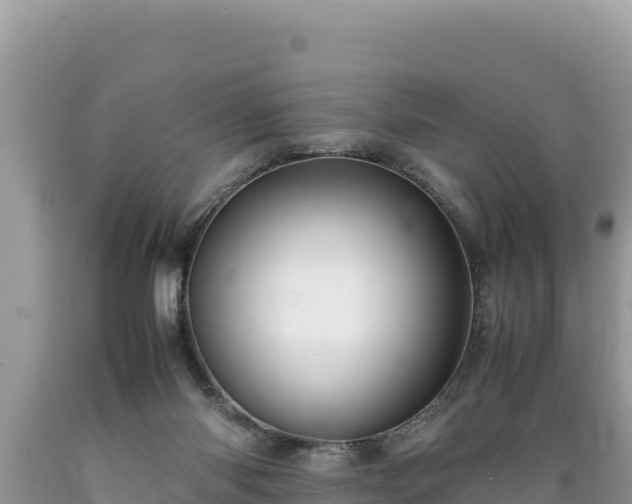 X0000089350118200706221146