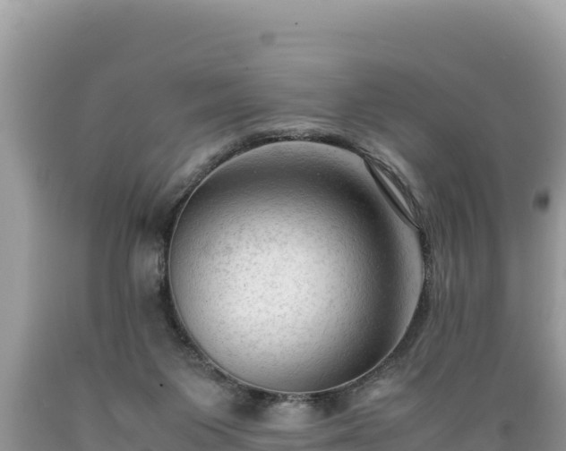 X0000089350119200706221146