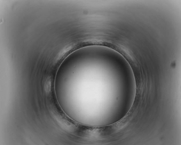 X0000089350120200706221146