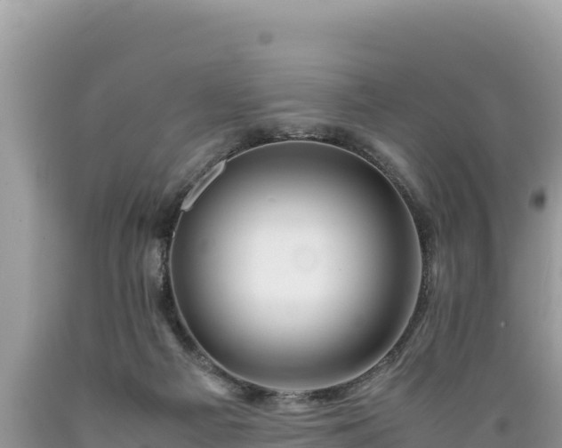 X0000089350121200706221146