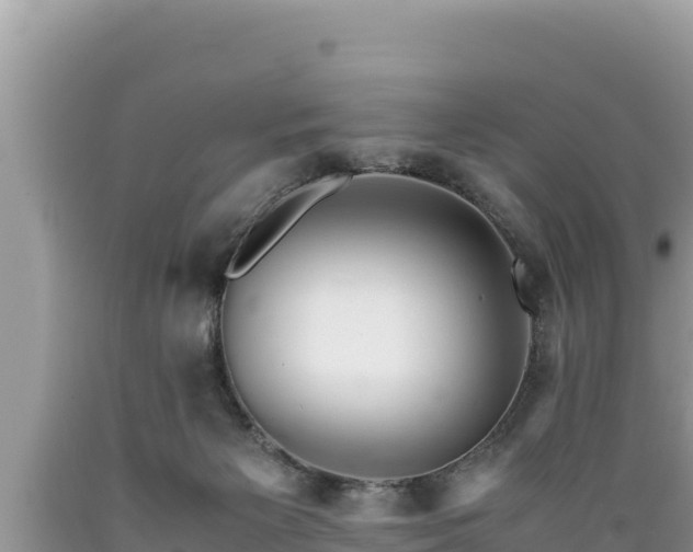 X0000089350125200706221146
